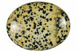 1.8" Polished Dalmatian Jasper Pocket Stone  - Photo 3